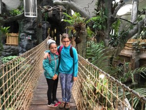 19397835_803688146471856_264420855_n