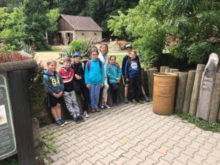 19398822_803688439805160_1317337240_n