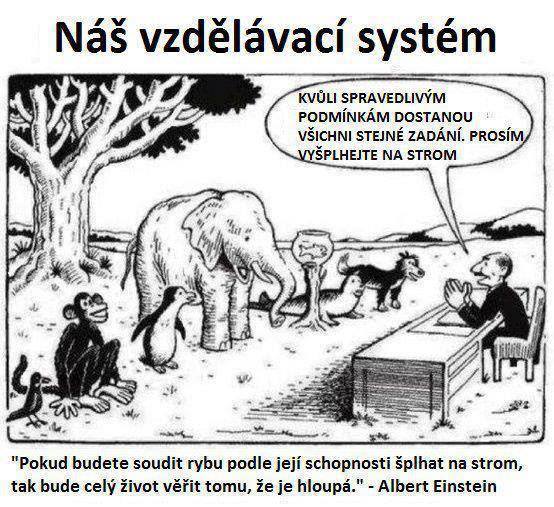 náš vzdělávací systém